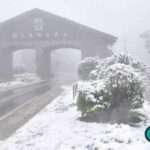 Pórtico de Gramado com neve